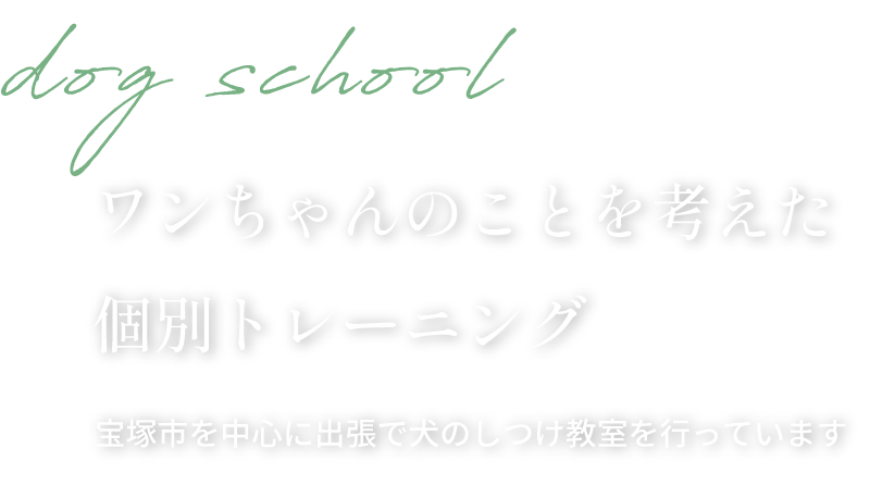 ワンちゃんのことを考えた個別トレーニング。宝塚市を中心に出張で犬のしつけ教室を行っています