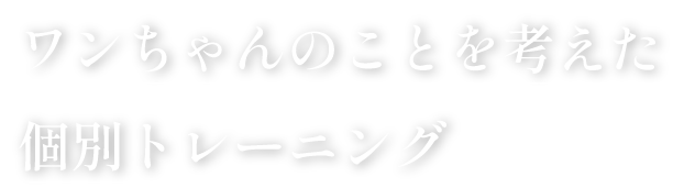 ワンちゃんのことを考えた個別トレーニング