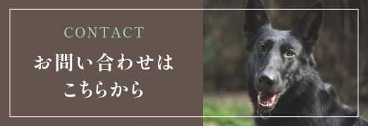 お問い合わせはこちらから